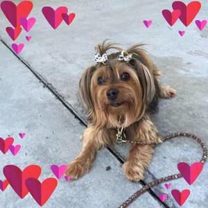 Meet your Posher, Sandra